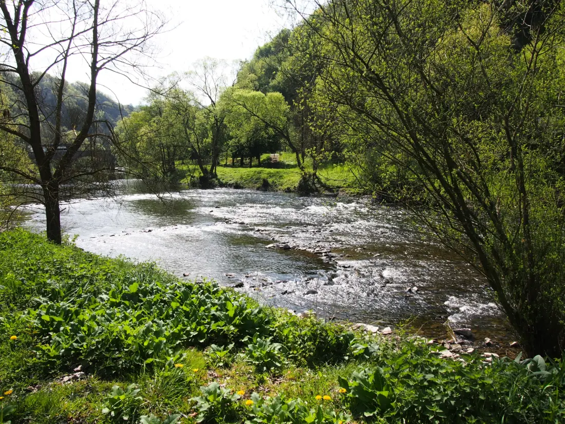 1-ouder camping Au Bord de l'Ourthe 2 étoiles★★