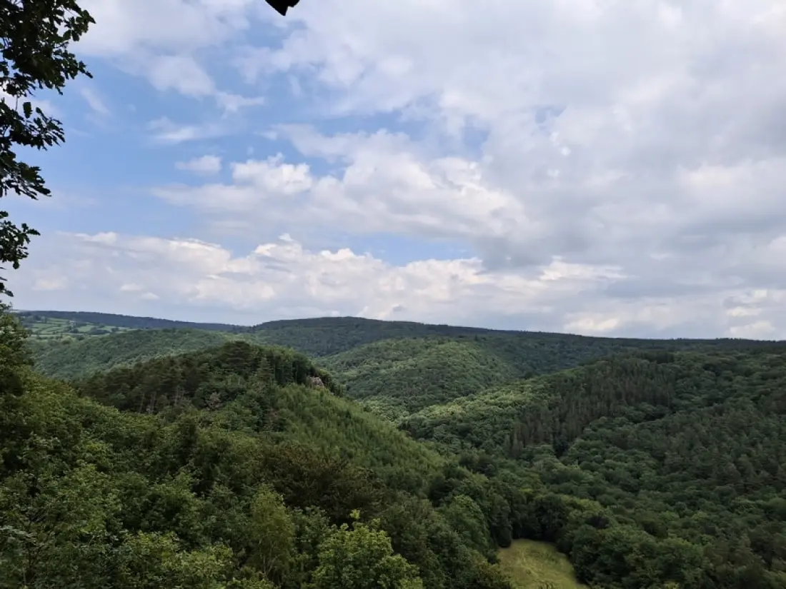 1-ouder camping Au Bord de l'Ourthe 2 étoiles★★