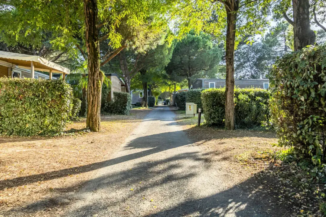 Ushuaïa Villages - Camping les Fougères 4 étoiles★★★★