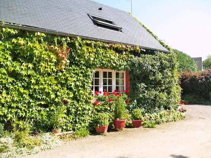 Gîte de France Gîtes de france® - la cécilève 2 épis