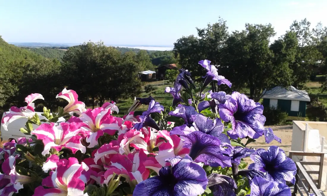 Camping Bellevue 3 étoiles★★★