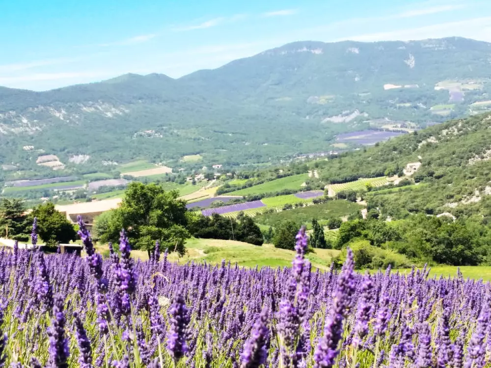Maison de Vacances Roche St Secret Béconne