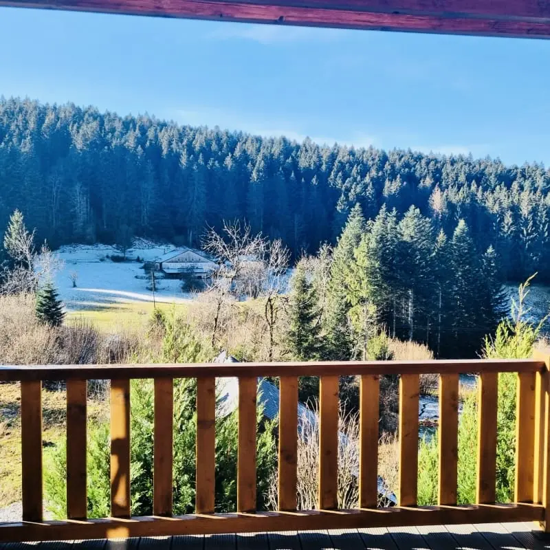 Joli Chalet Nature Proche De Gerardmer !