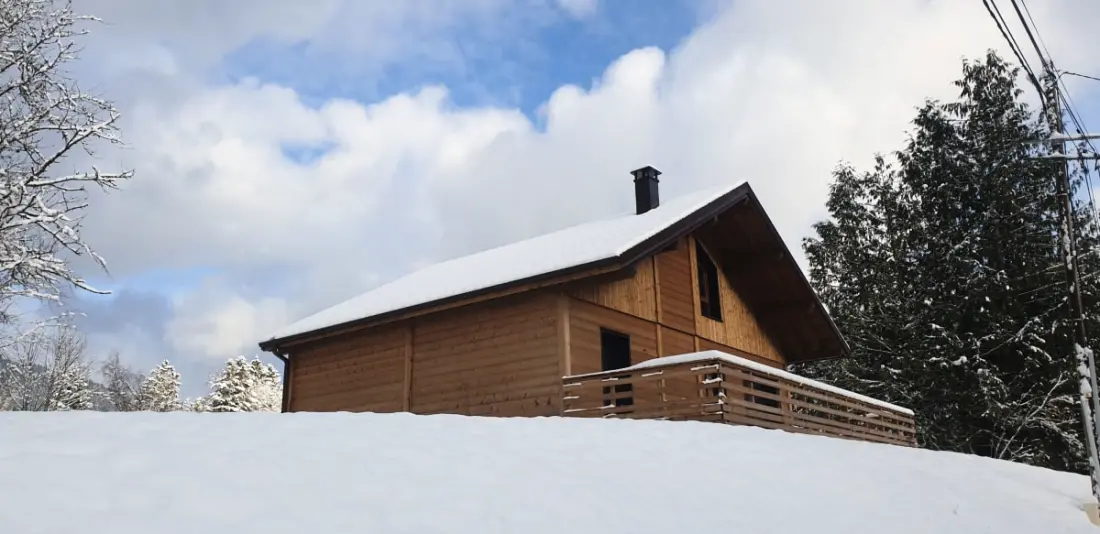 Magnifique Chalet Les Noisetiers