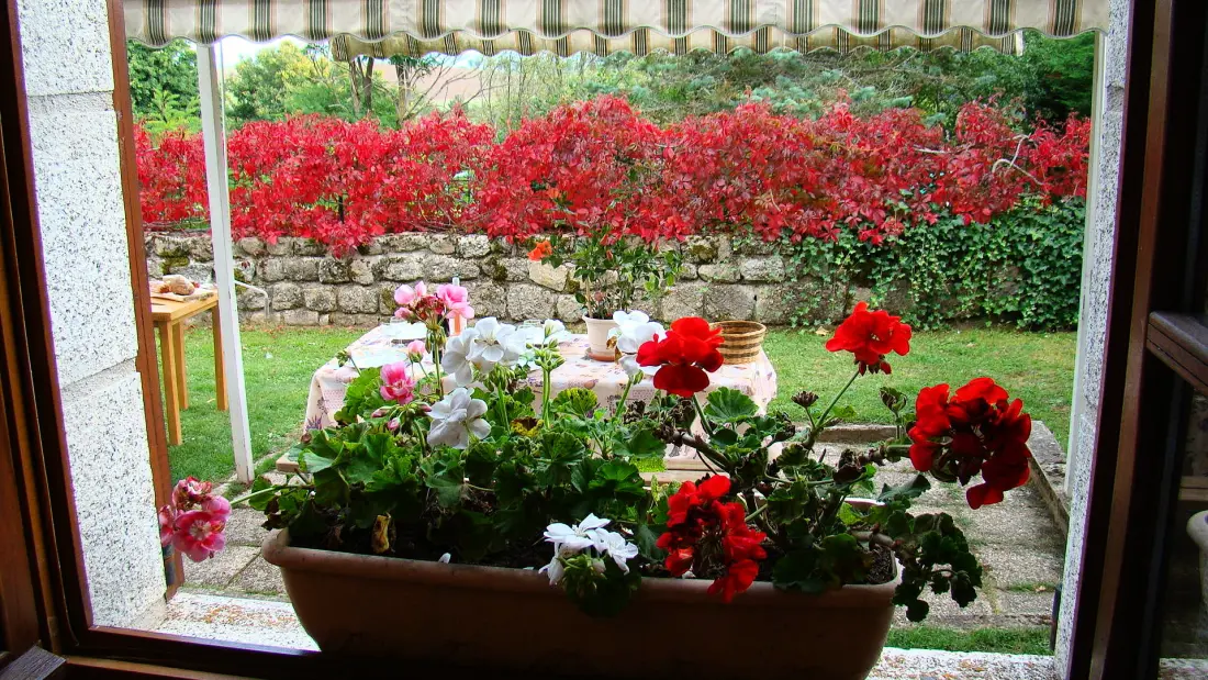 Gîte de France Gva017 - gîte de france 3 épis 6 pers à la bastide 3 épis
