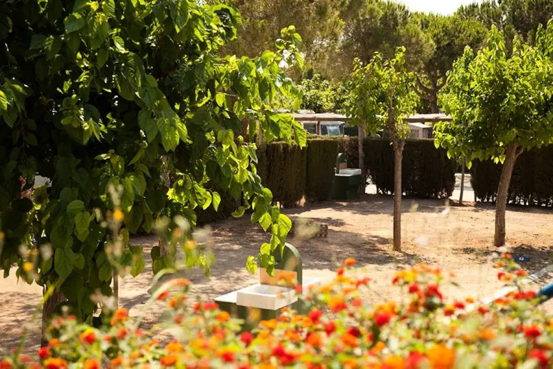 Stel Camping & Bungalow Resort 4 étoiles★★★★