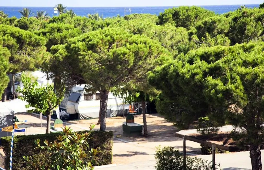 Stel Camping & Bungalow Resort 4 étoiles★★★★