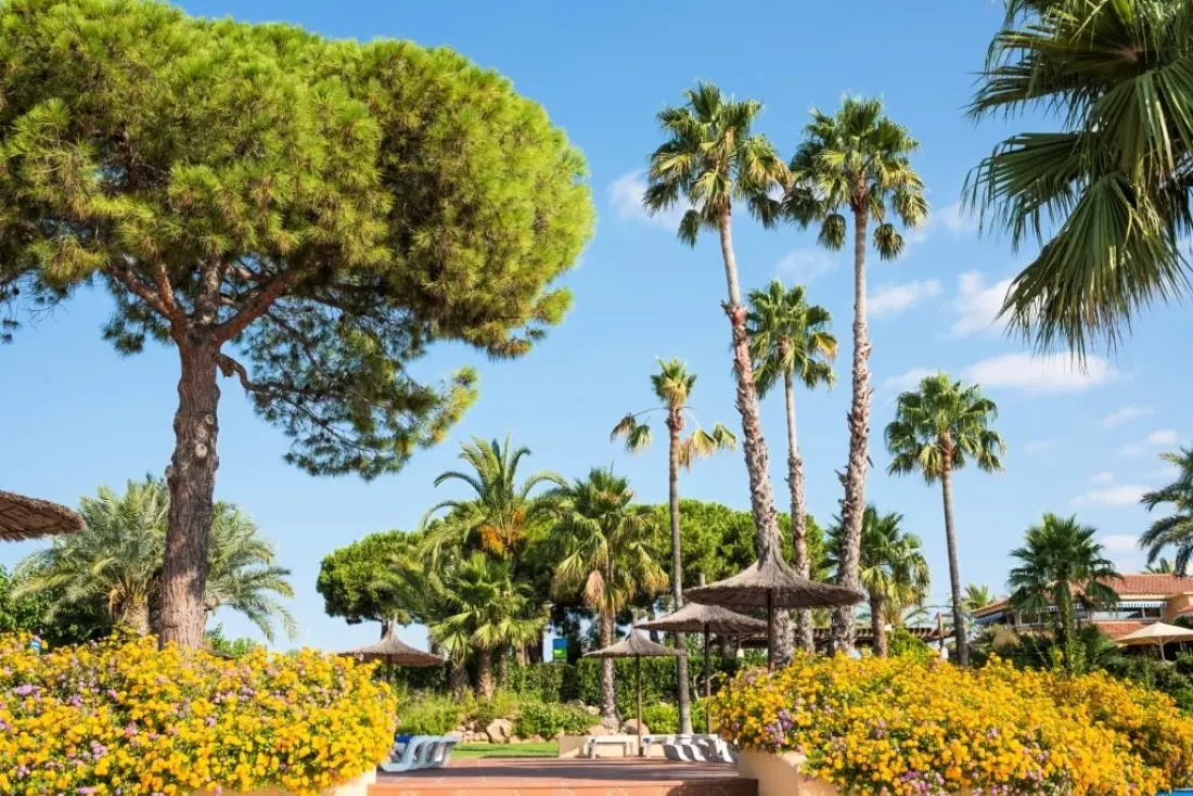 Stel Camping & Bungalow Resort 4 étoiles★★★★