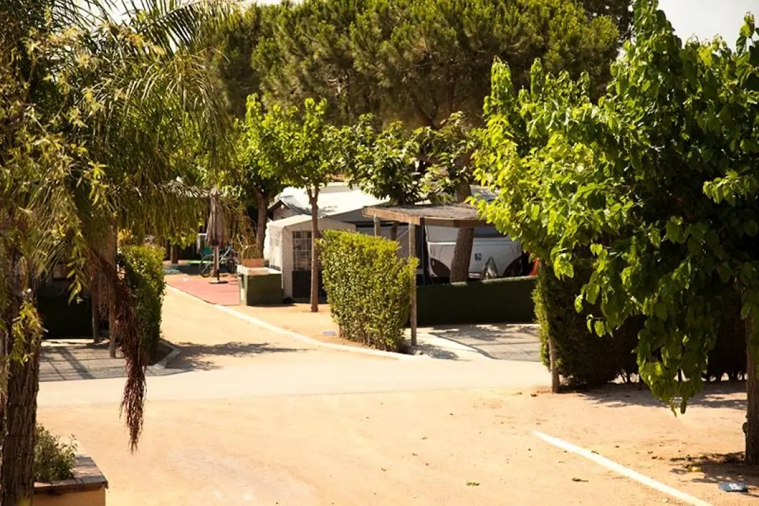 Stel Camping & Bungalow Resort 4 étoiles★★★★