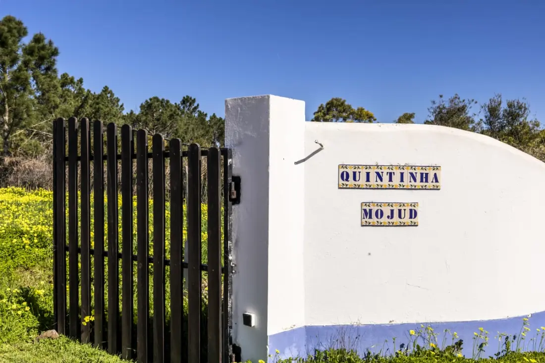 Quintinha Mojud