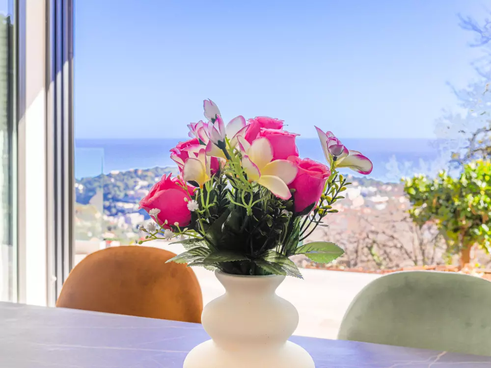 Maison de Vacances Roquebrune Cap Martin