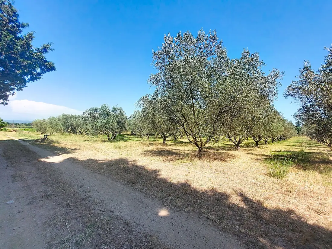 Maison de Vacances Roquebrune sur Argens