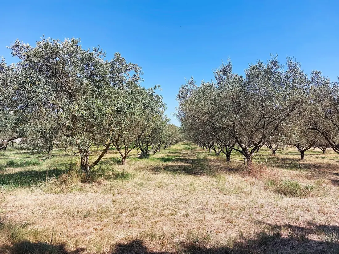 Maison de Vacances Roquebrune sur Argens