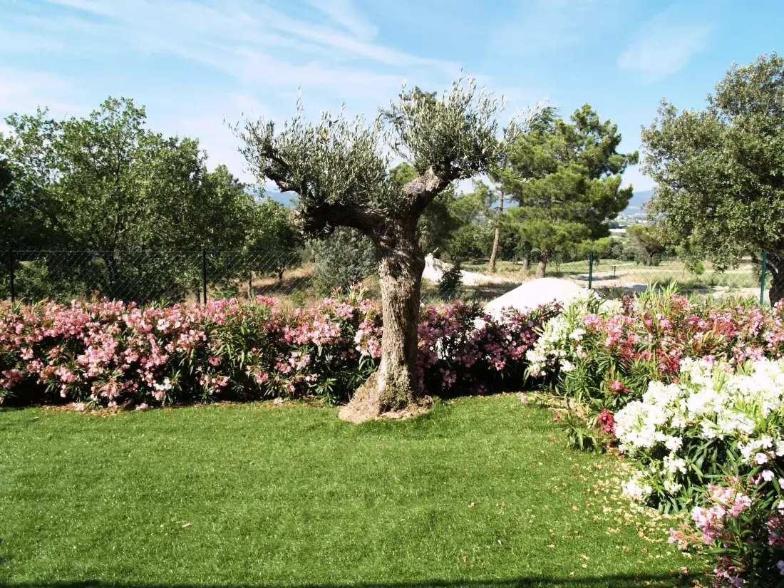 Maison de Vacances Roquebrune sur Argens