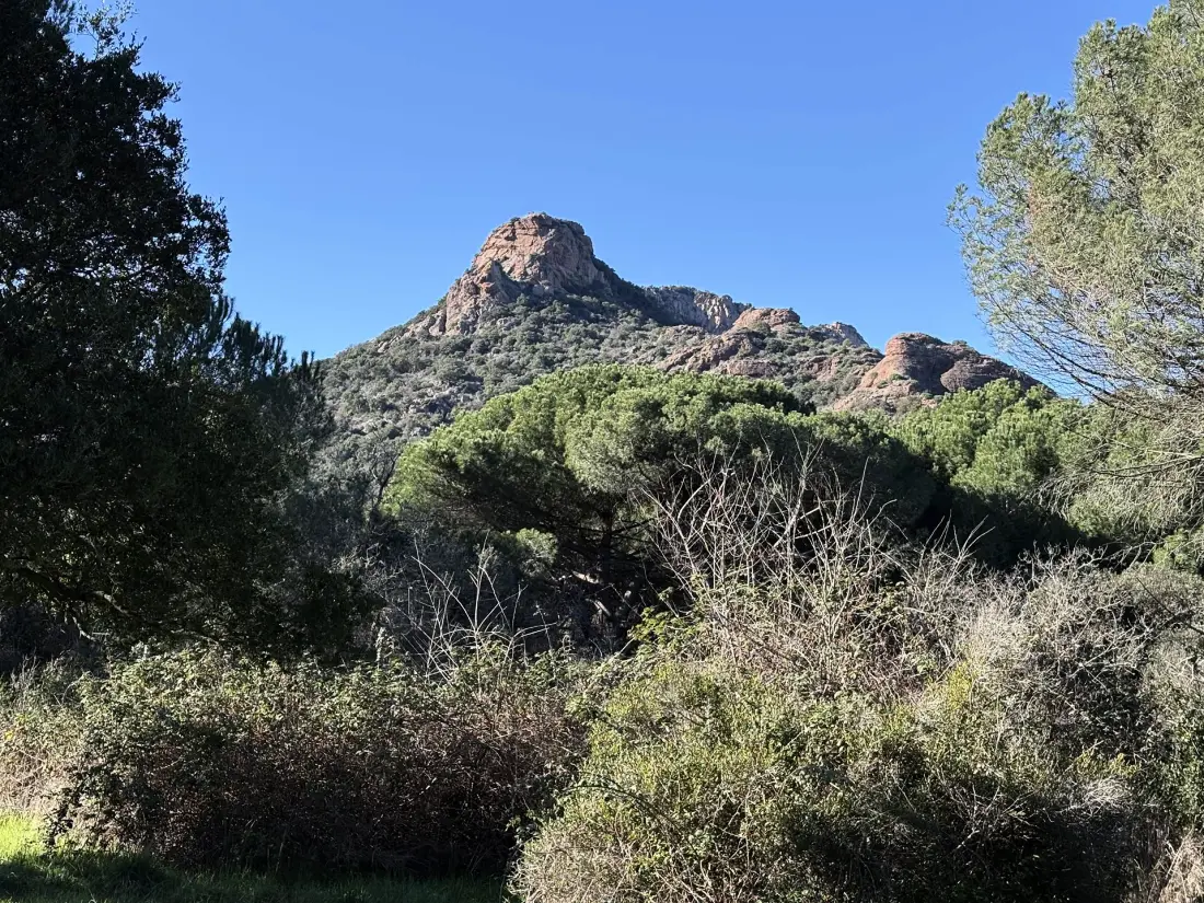 Résidence Coteaux D'argens