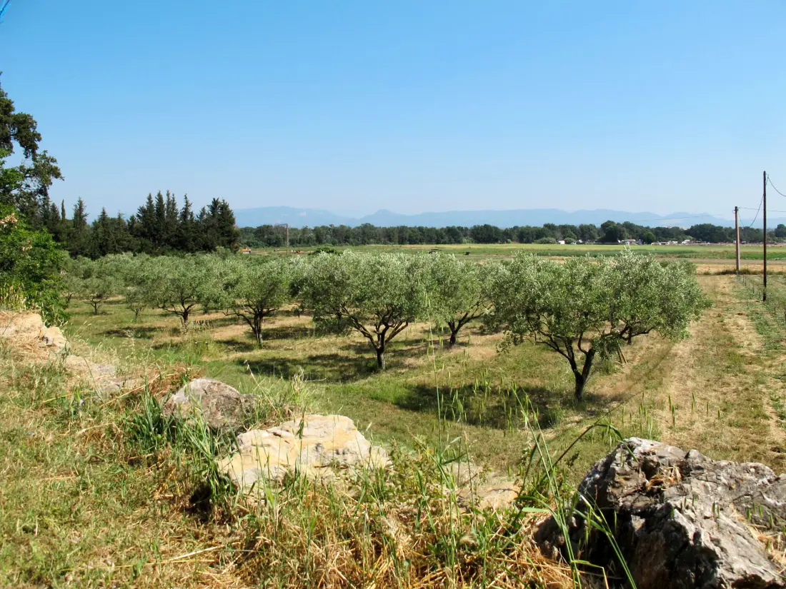 Maison de Vacances Roquebrune sur Argens