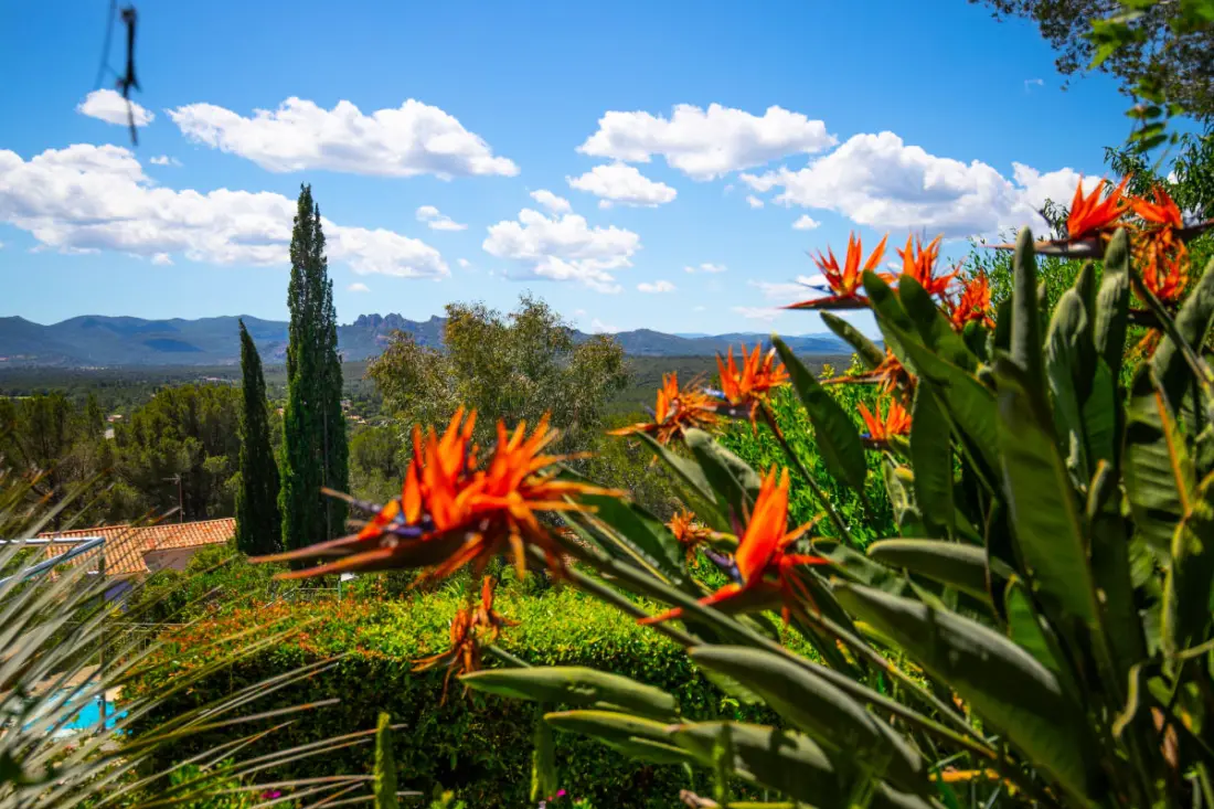 Villa 10 Pers Piscine Privée Près De Saint-tropez