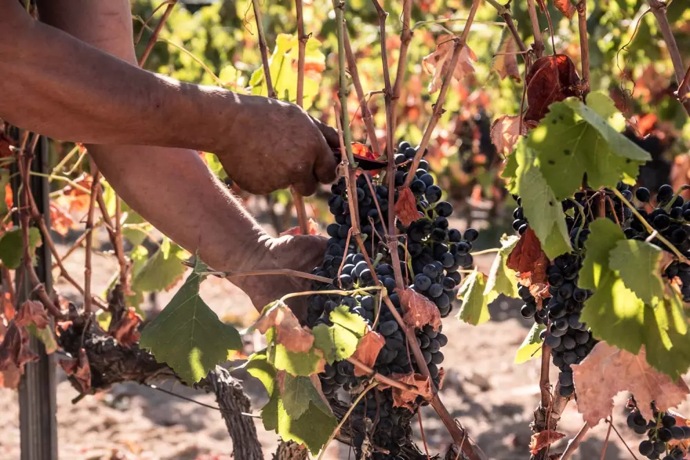 Village Camping Les Pêcheurs 4 étoiles★★★★