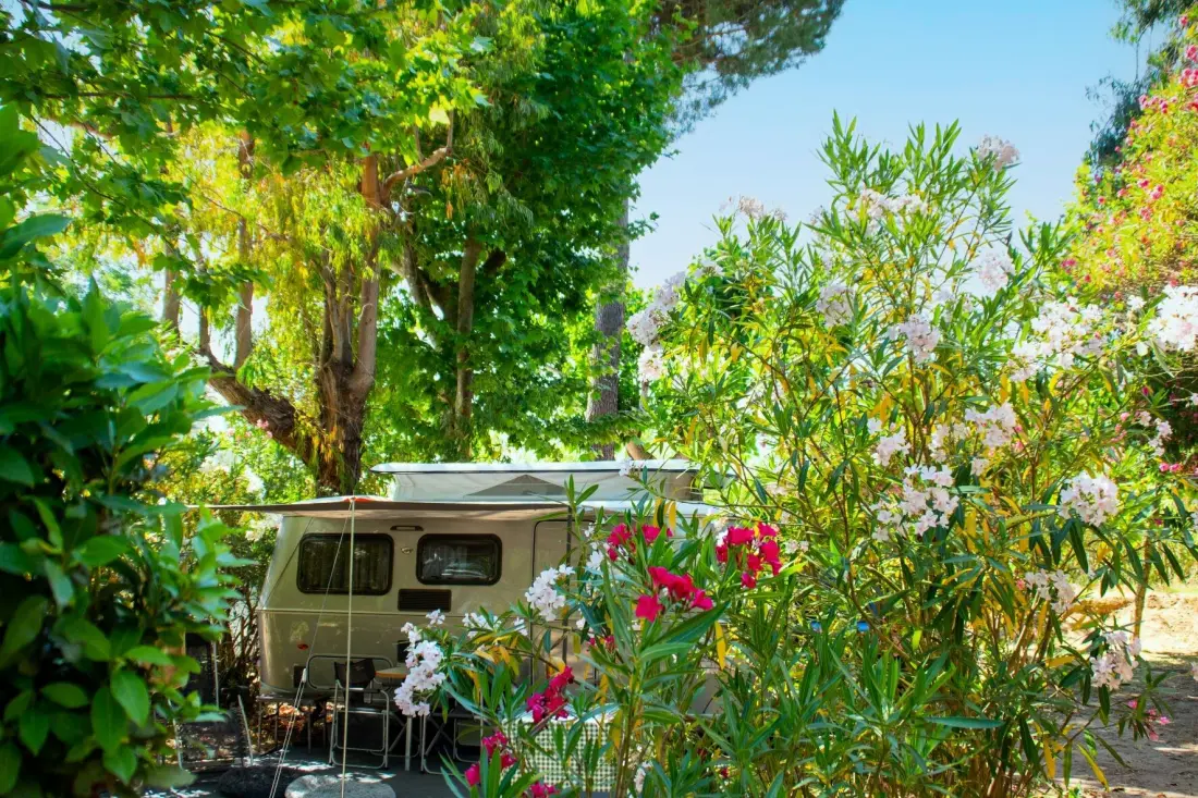 Camping Les Pêcheurs 4 étoiles★★★★