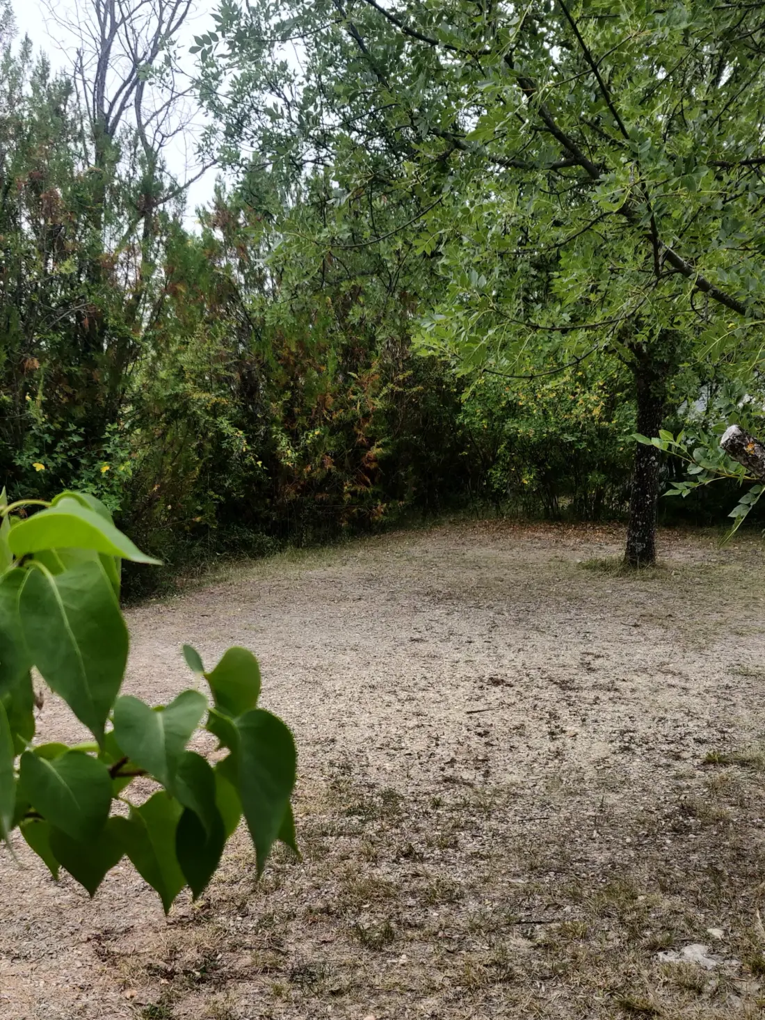 Flower Camping Les Hauts de Rosans 4 étoiles★★★★