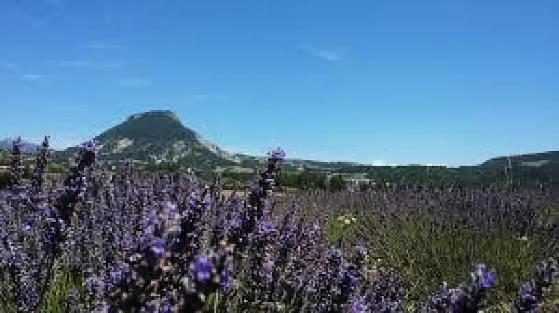 Flower Camping Les Hauts de Rosans 4 étoiles★★★★