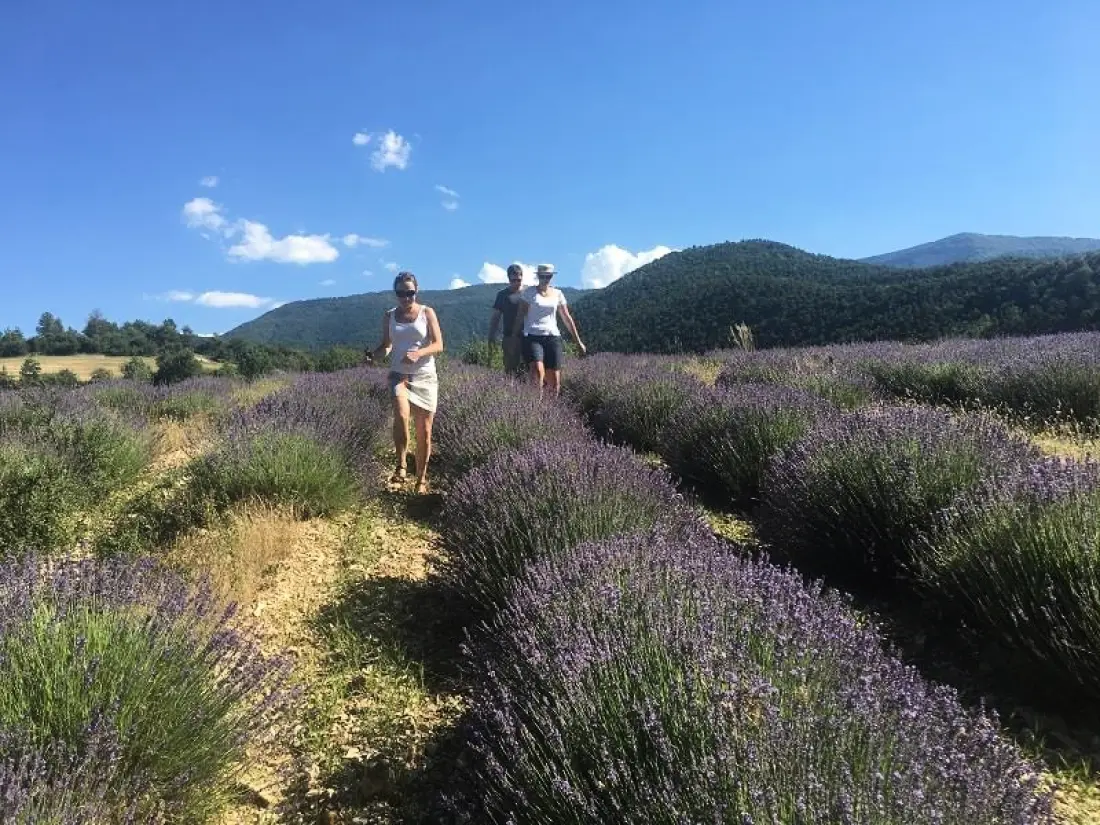 Flower Camping Les Hauts de Rosans 4 étoiles★★★★