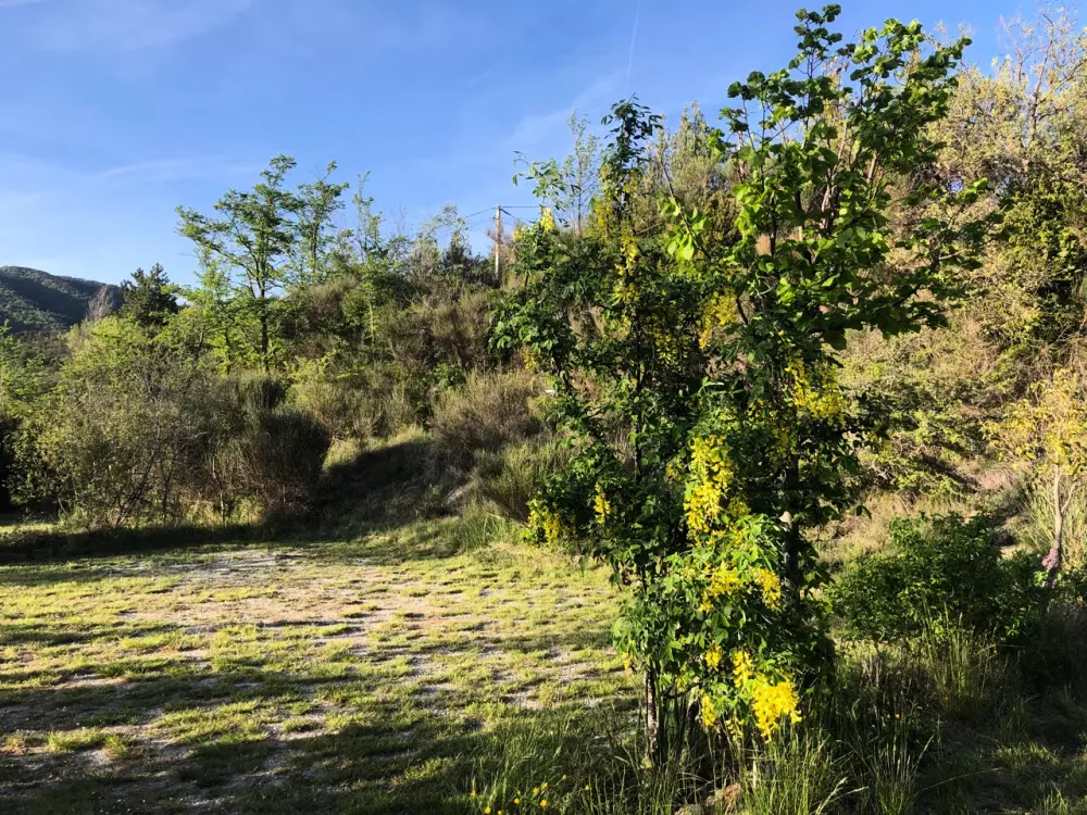 Flower Camping Les Hauts de Rosans 4 étoiles★★★★