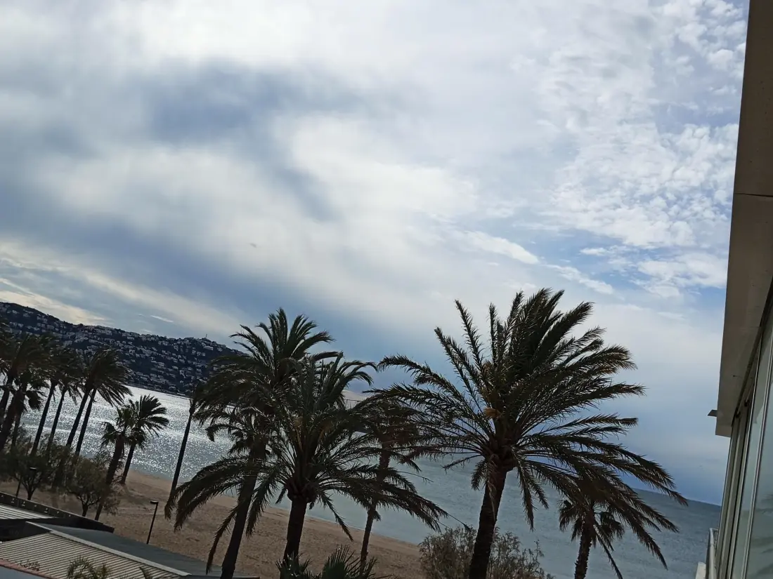 Location de Vacances Roses 1010