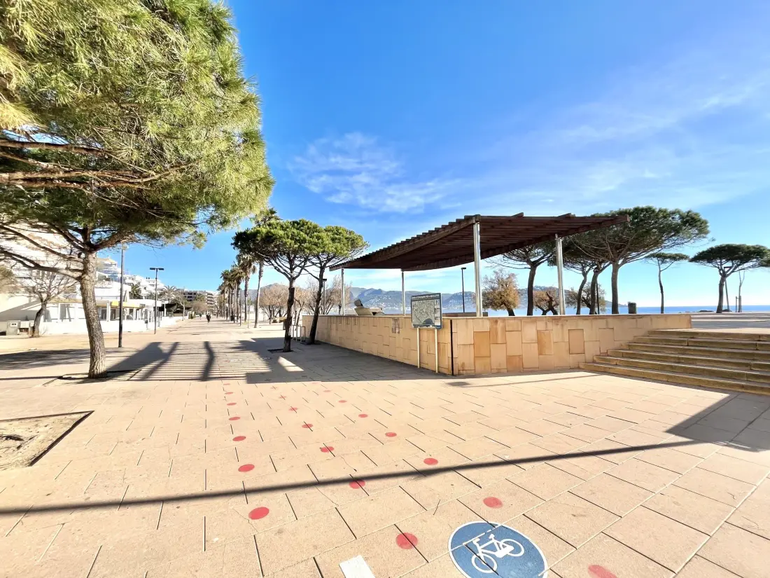 Location de Vacances Roses 1017