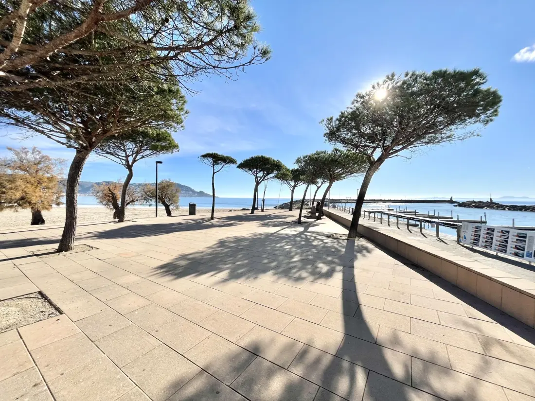 Location de Vacances Roses 1017