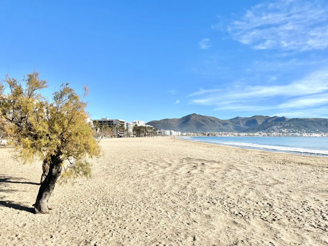 Location de Vacances Roses 1017