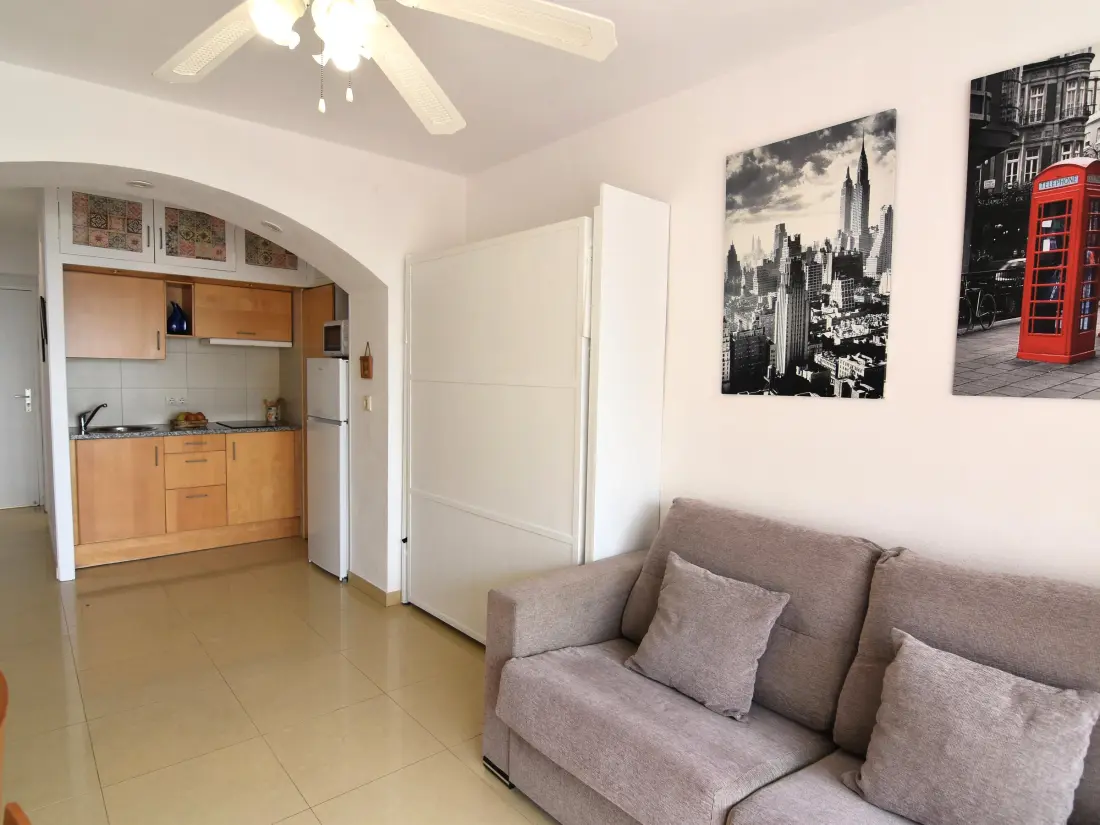 Location de Vacances Roses 1018