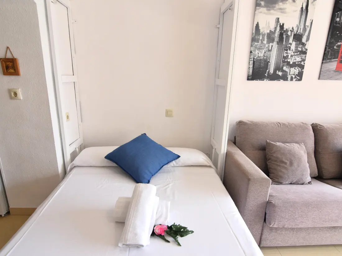 Location de Vacances Roses 1018