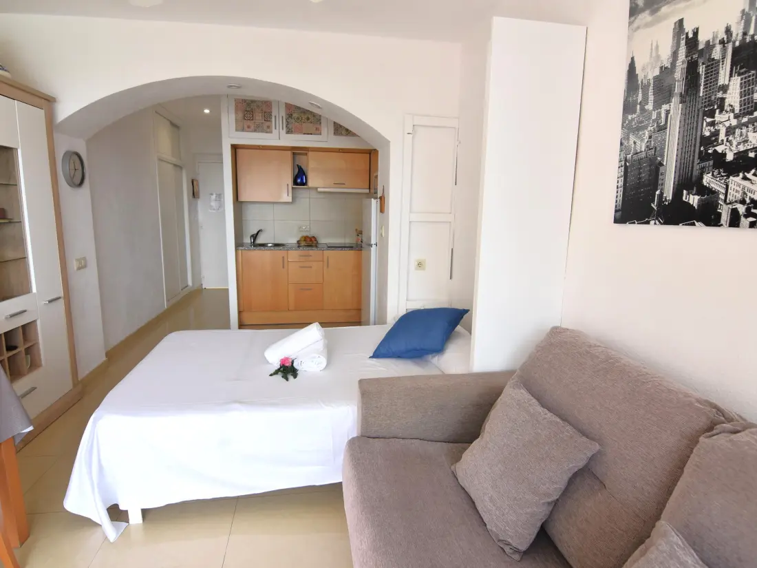Location de Vacances Roses 1018