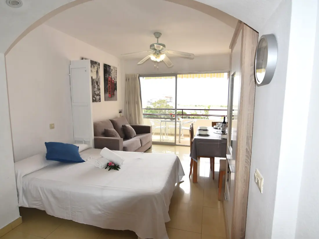 Location de Vacances Roses 1018