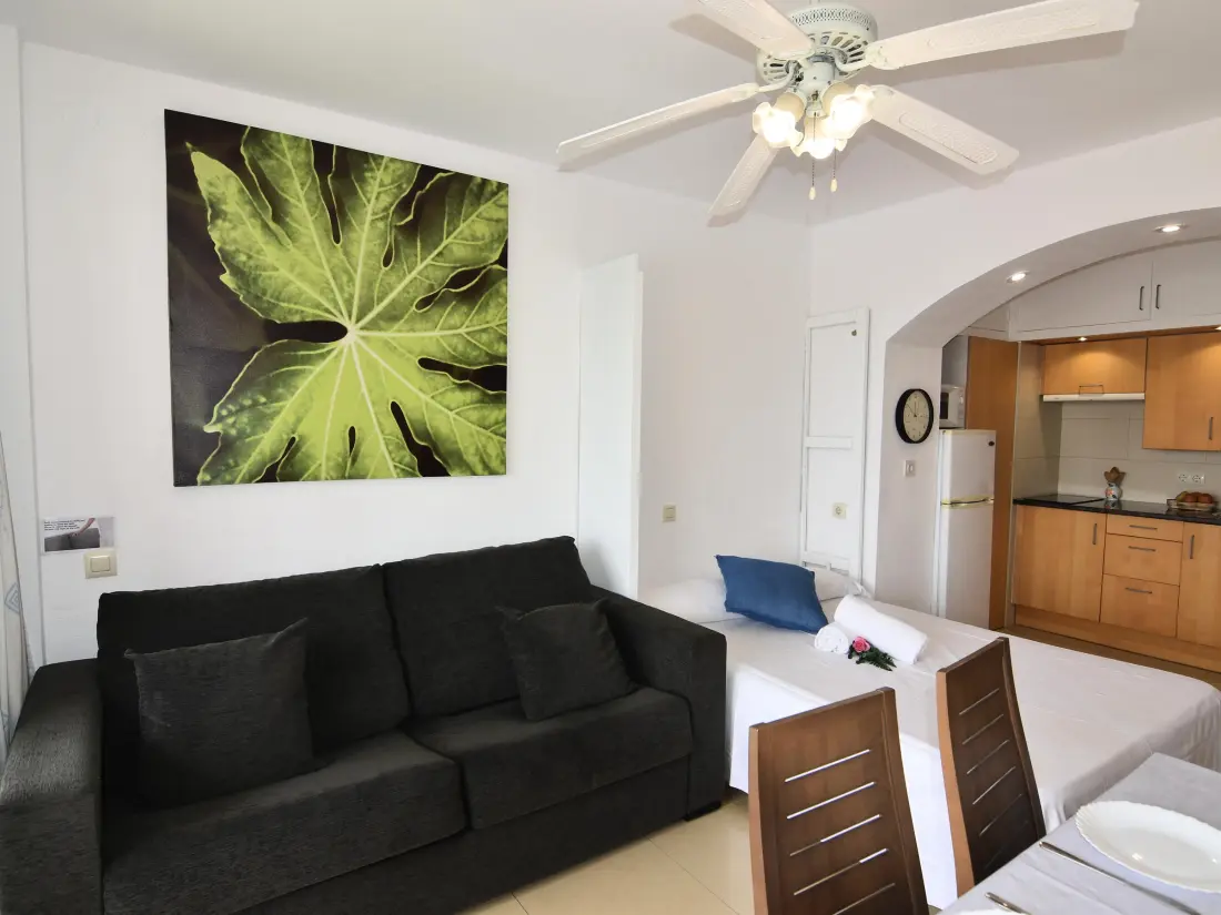 Location de Vacances Roses 1022