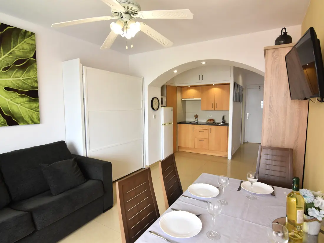 Location de Vacances Roses 1022