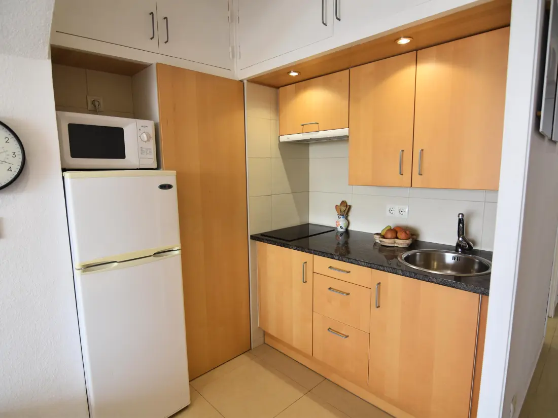 Location de Vacances Roses 1022