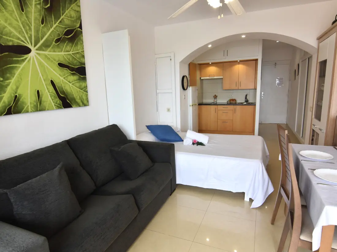 Location de Vacances Roses 1022