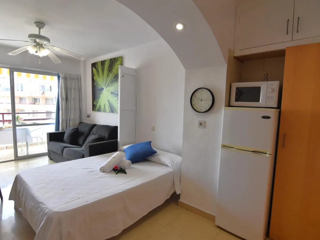 Location de Vacances Roses 1022
