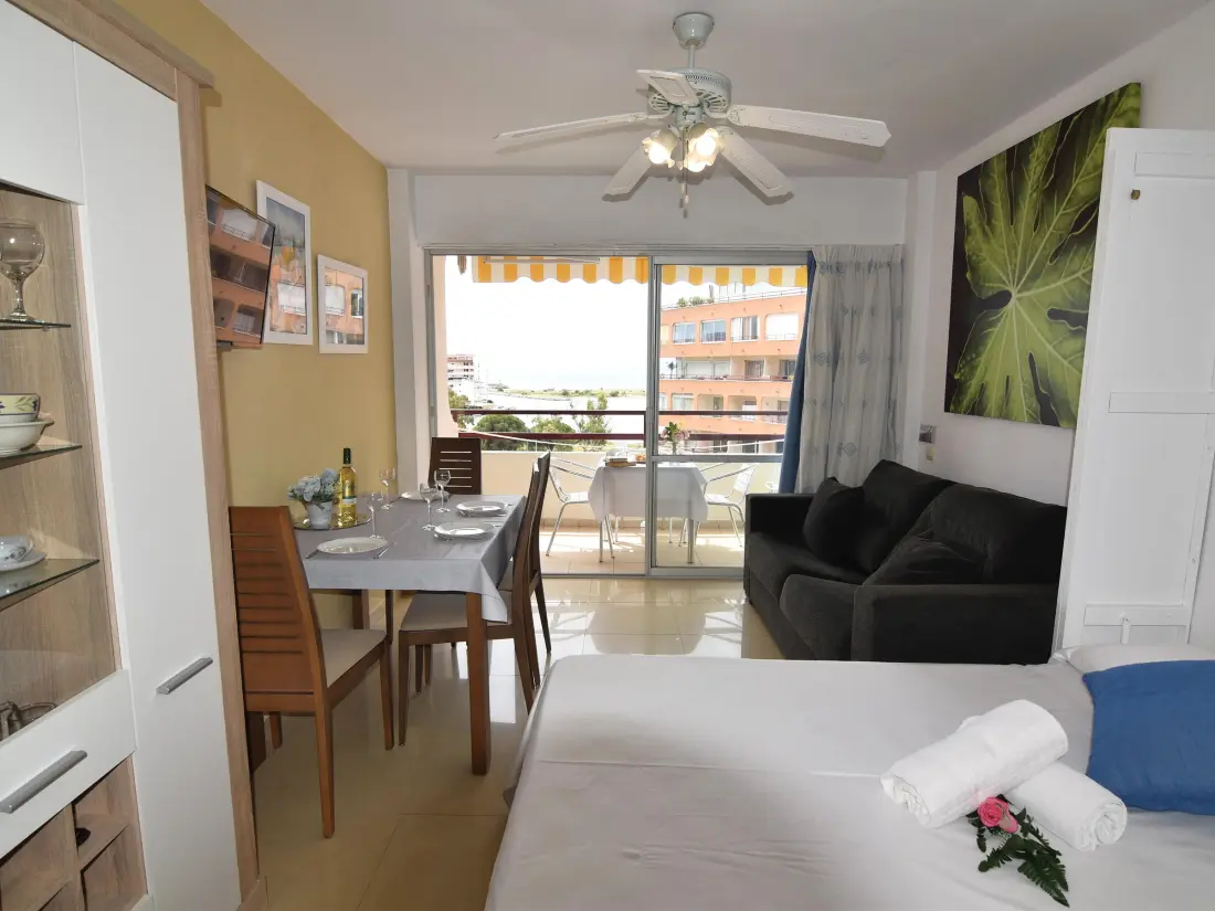 Location de Vacances Roses 1022