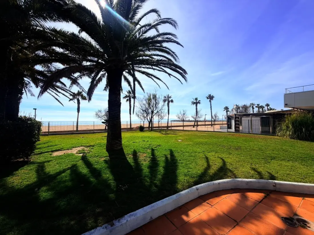 Location de Vacances Roses 1028