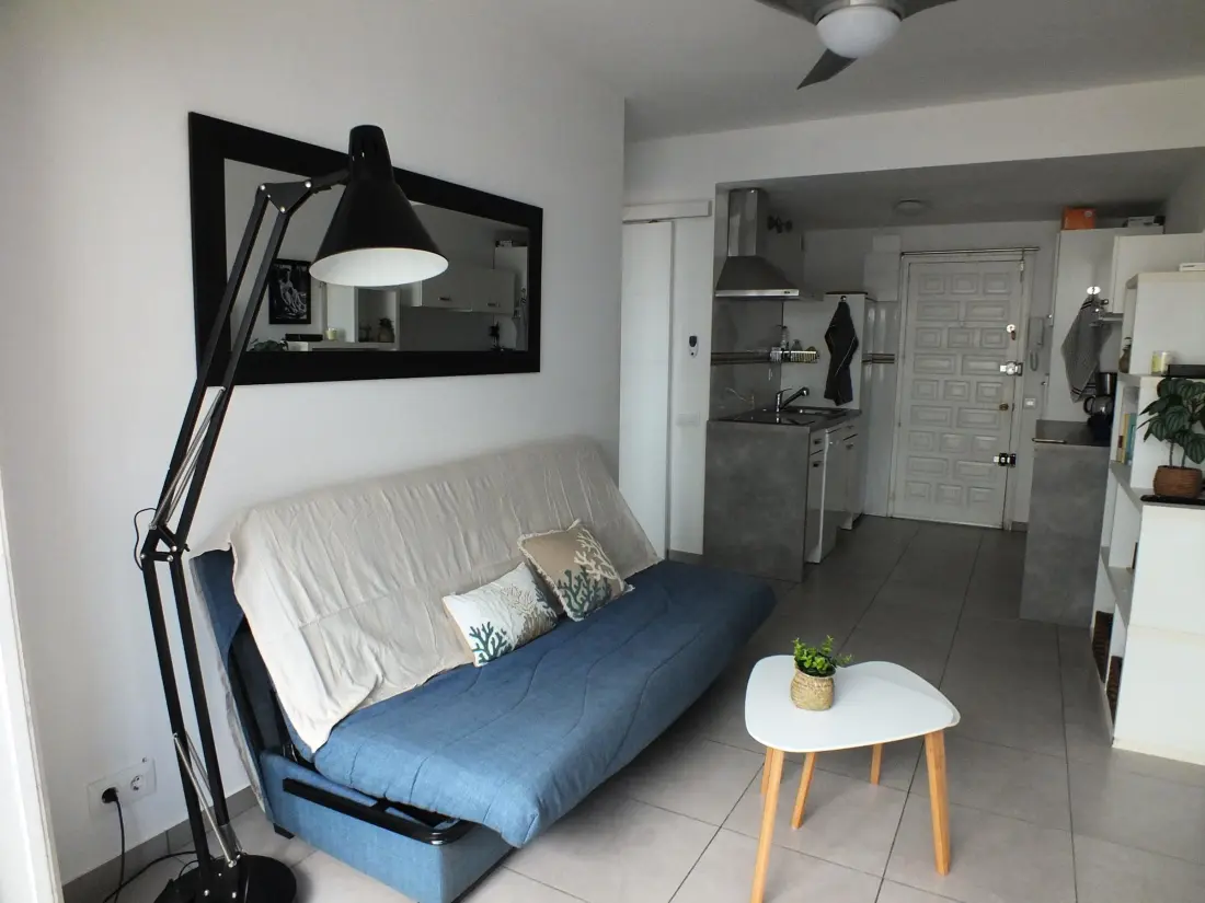 Location de Vacances Roses 1028