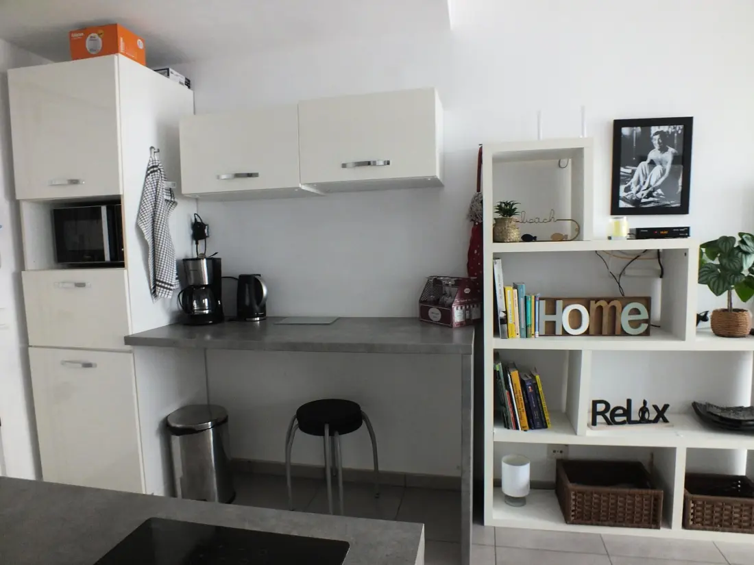 Location de Vacances Roses 1028
