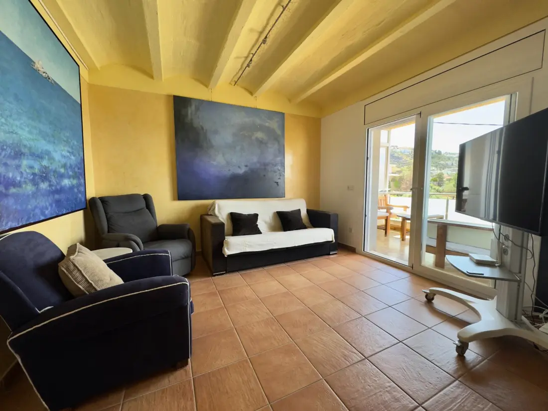 Location de Vacances Roses 1041