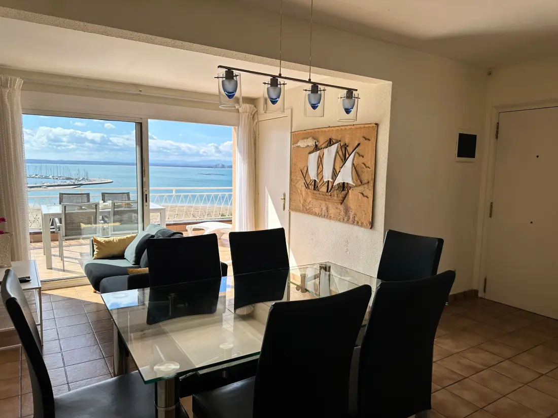 Location de Vacances Roses 1043