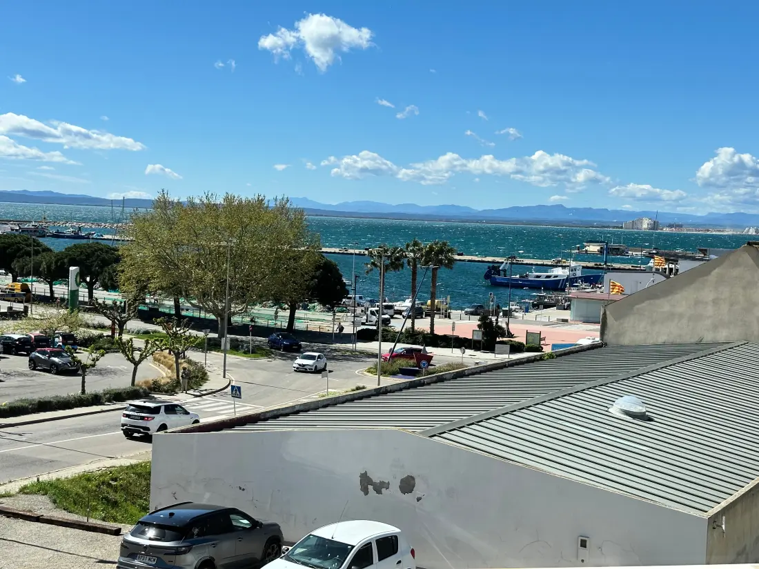 Location de Vacances Roses 1044