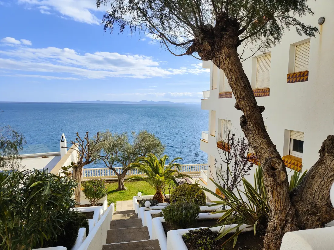 Location de Vacances Roses 1048