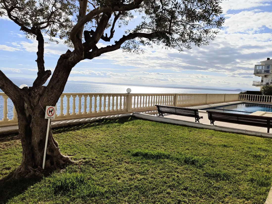 Location de Vacances Roses 1048