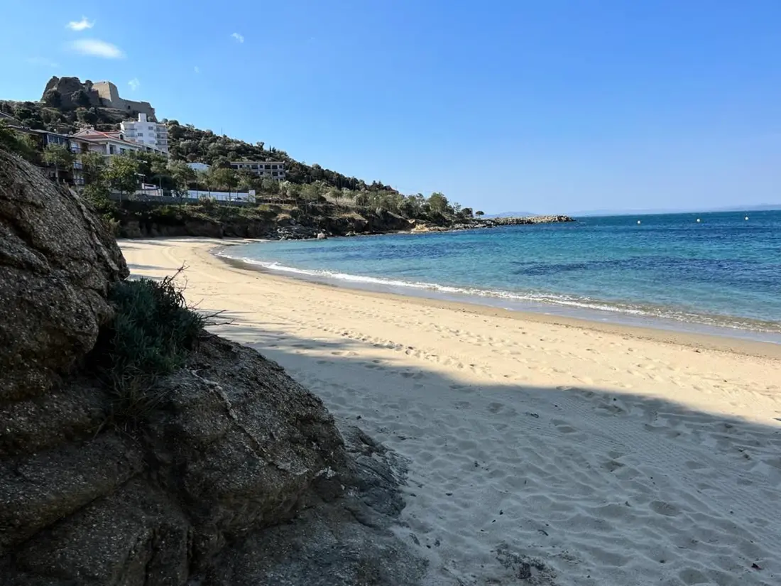Location de Vacances Roses 1048